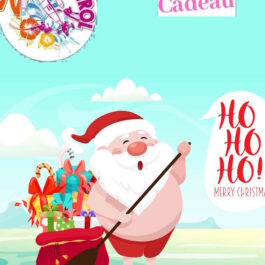 bon-cadeau-noel-zefcontrol